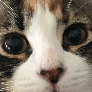 Meet your Posher, Janette